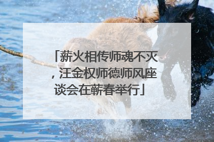 薪火相传师魂不灭，汪金权师德师风座谈会在蕲春举行