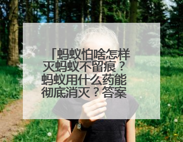 蚂蚁怕啥怎样灭蚂蚁不留痕？蚂蚁用什么药能彻底消灭？答案在这！
