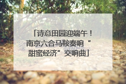 诗意田园迎端午！南京六合马鞍奏响“甜蜜经济”交响曲