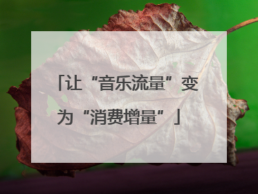 让“音乐流量”变为“消费增量”