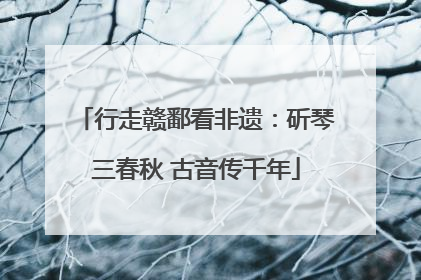 行走赣鄱看非遗：斫琴三春秋 古音传千年