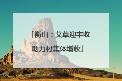 衡山：艾草迎丰收 助力村集体增收