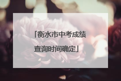 衡水市中考成绩查询时间确定
