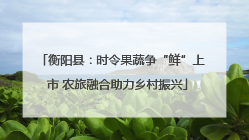衡阳县：时令果蔬争“鲜”上市 农旅融合助力乡村振兴