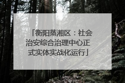 衡阳蒸湘区：社会治安综合治理中心正式实体实战化运行