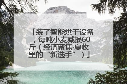装了智能烘干设备，每吨小麦减损60斤（经济聚焦·夏收里的“新选手”）