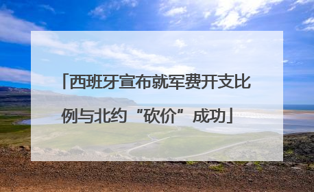 西班牙宣布就军费开支比例与北约“砍价”成功