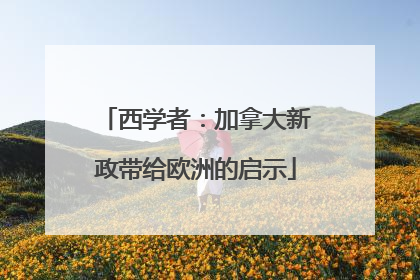 西学者：加拿大新政带给欧洲的启示
