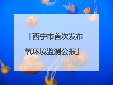 西宁市首次发布氧环境监测公报