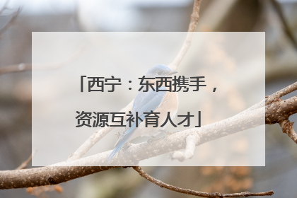 西宁：东西携手，资源互补育人才