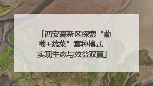 西安高新区探索“葡萄+蔬菜”套种模式 实现生态与效益双赢