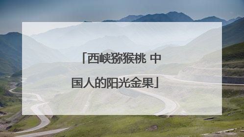 西峡猕猴桃 中国人的阳光金果