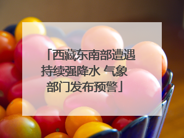 西藏东南部遭遇持续强降水 气象部门发布预警