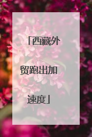 西藏外贸跑出加速度