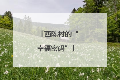 西陈村的“幸福密码”