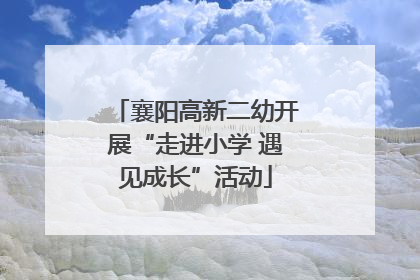 襄阳高新二幼开展“走进小学 遇见成长”活动