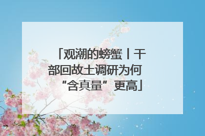 观潮的螃蟹丨干部回故土调研为何“含真量”更高
