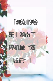 观潮的螃蟹丨湖南工程机械“双城记”