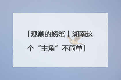观潮的螃蟹丨湖南这个“主角”不简单