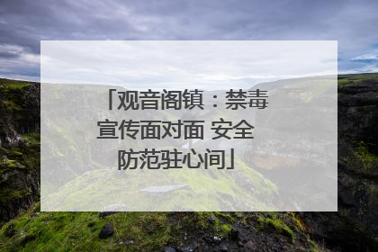 观音阁镇：禁毒宣传面对面 安全防范驻心间