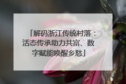 解码浙江传统村落：活态传承助力共富、数字赋能唤醒乡愁