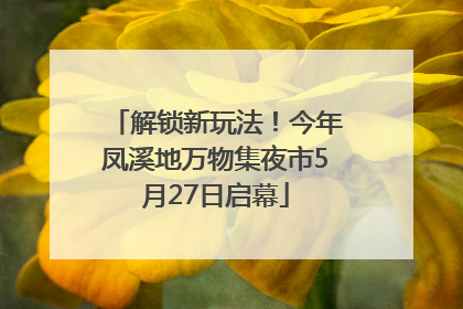 解锁新玩法！今年凤溪地万物集夜市5月27日启幕