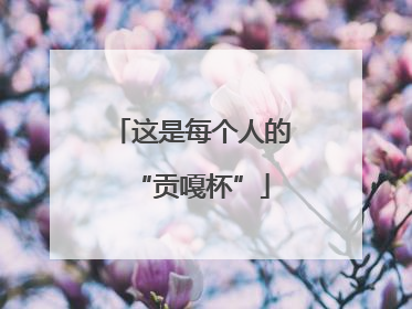 这是每个人的“贡嘎杯”