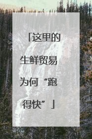 这里的生鲜贸易为何“跑得快”