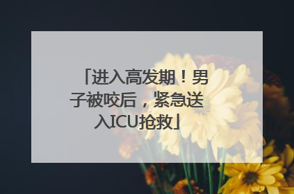 进入高发期！男子被咬后，紧急送入ICU抢救