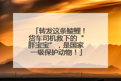 转发这条鲮鲤！货车司机救下的“胖宝宝”，是国家一级保护动物！