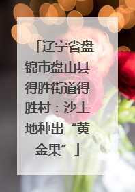 辽宁省盘锦市盘山县得胜街道得胜村：沙土地种出“黄金果”