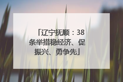 辽宁抚顺：38条举措稳经济、促振兴、勇争先