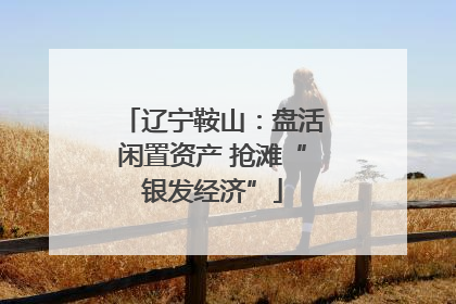 辽宁鞍山：盘活闲置资产 抢滩“银发经济”