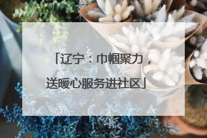 辽宁：巾帼聚力，送暖心服务进社区