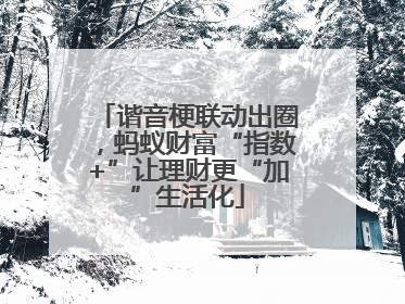 谐音梗联动出圈，蚂蚁财富“指数+”让理财更“加”生活化