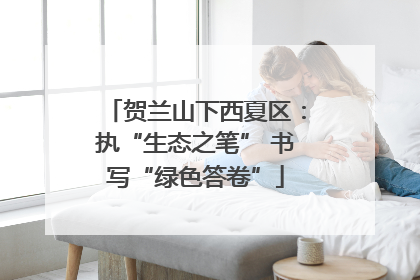贺兰山下西夏区：执“生态之笔” 书写“绿色答卷”