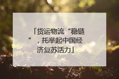 货运物流“稳链”，托举起中国经济复苏活力