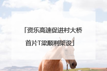 资乐高速促进村大桥首片T梁顺利架设