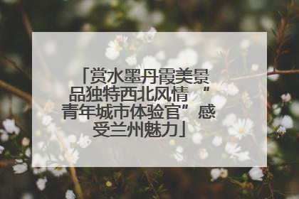 赏水墨丹霞美景 品独特西北风情 “青年城市体验官”感受兰州魅力