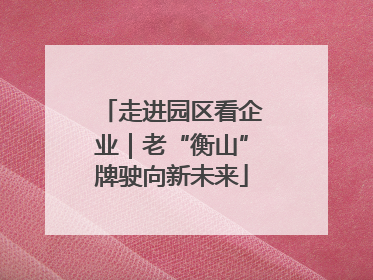 走进园区看企业｜老“衡山”牌驶向新未来