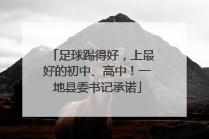 足球踢得好，上最好的初中、高中！一地县委书记承诺