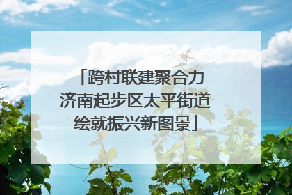 跨村联建聚合力 济南起步区太平街道绘就振兴新图景
