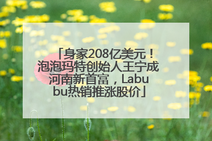 身家208亿美元！泡泡玛特创始人王宁成河南新首富，Labubu热销推涨股价