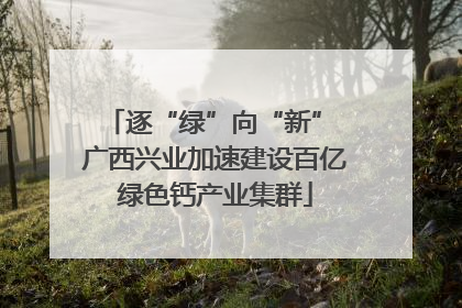 逐“绿”向“新” 广西兴业加速建设百亿绿色钙产业集群