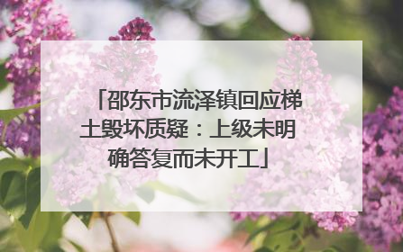 邵东市流泽镇回应梯土毁坏质疑：上级未明确答复而未开工