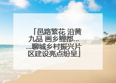 邑路繁花 沿黄九品 画乡鲤都……聊城乡村振兴片区建设亮点纷呈