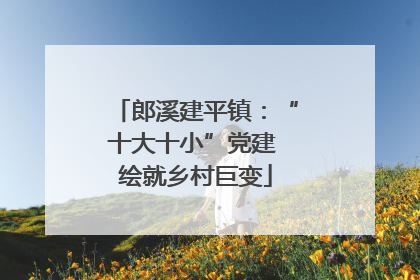 郎溪建平镇：“十大十小”党建 绘就乡村巨变