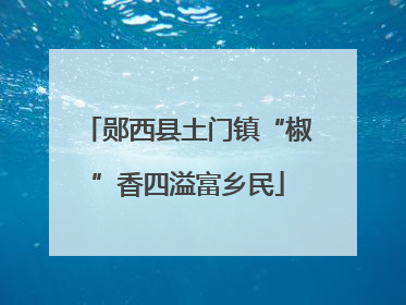 郧西县土门镇“椒”香四溢富乡民