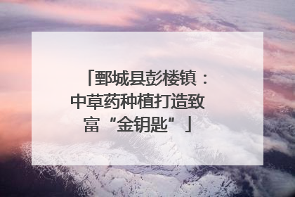 鄄城县彭楼镇：中草药种植打造致富“金钥匙”