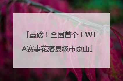 重磅！全国首个！WTA赛事花落县级市京山